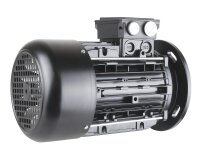 Motor elétrico Riello 3013565