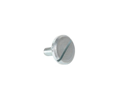 Ecoflam Burner Casing Fixing Screw M5 x 15 mm, art: 65300519.