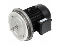 Motor elétrico Weishaupt WM-D112/140-2/3K5 21520407010 Art. Alt: We21520407010.